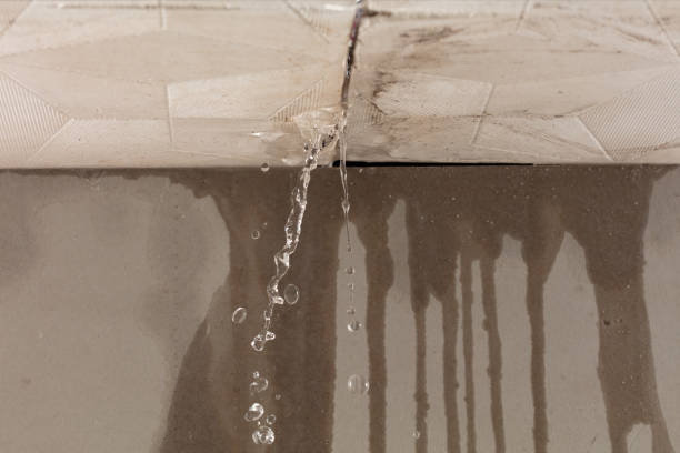 Professional Water Damage Repair technician working in Roscoe, MN